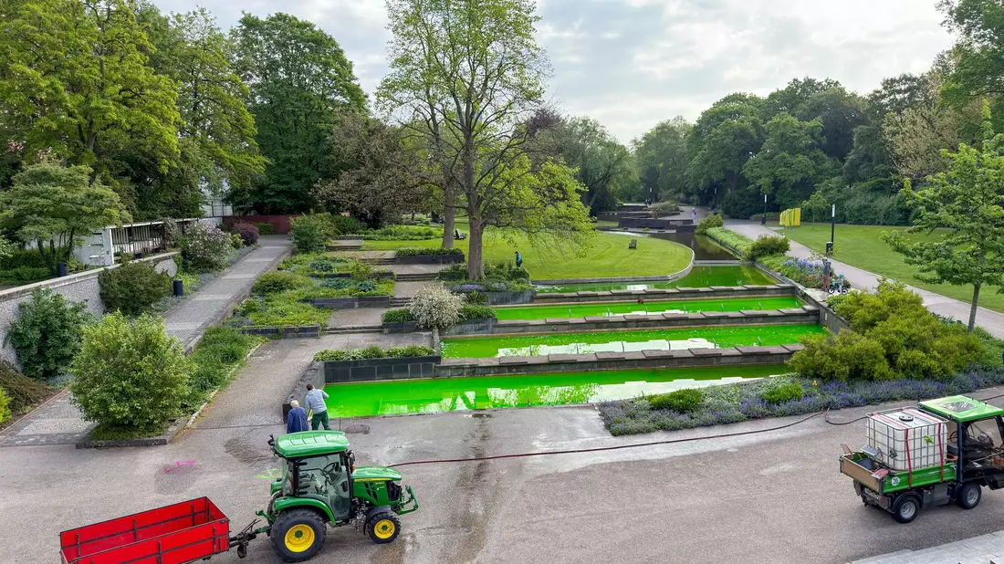 In Hamburg war unter anderem das Wasser von Springbrunnen des Parks Planten un Blomen mit grüner Farbe gefärbt. - Bild: Bodo Marks/dpa