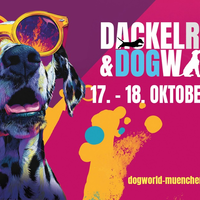 DogWorld geht in die nächste Phase: HINTE übernimmt Veranstalterrolle für wachstumsstarkes Erfolgsformat - Foto: presseportal.de