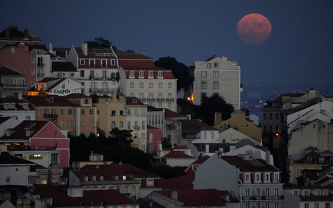 Nach der Mutter wurde nicht nur in Portugal fieberhaft gesucht. (Symbolbild) - Foto: Armando Franca/AP/dpa