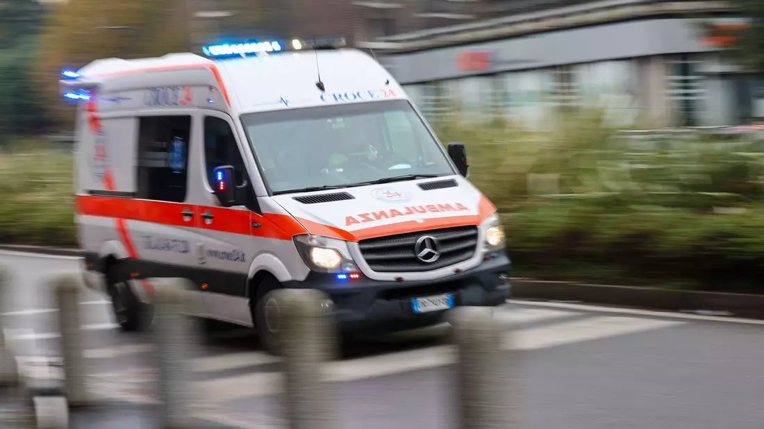In Mecklenburg-Vorpommern ist eine Erkrankung mit dem gefährlichen Bornavirus nachgewiesen worden. Es kann nach Behördenangaben von Feldspitzmäusen auf den Menschen übertragen werden. (Symbolbild) - Bild: Jan Woitas/dpa