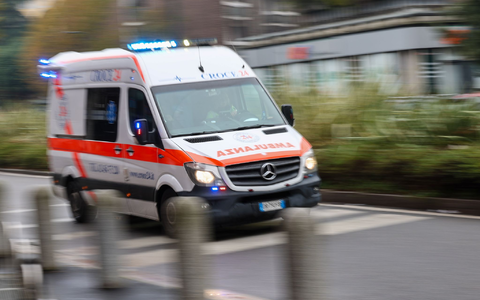 In Mecklenburg-Vorpommern ist eine Erkrankung mit dem gefährlichen Bornavirus nachgewiesen worden. Es kann nach Behördenangaben von Feldspitzmäusen auf den Menschen übertragen werden. (Symbolbild) - Foto: Jan Woitas/dpa