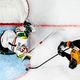 Samuel Dove-McFalls aus Nürnberg traf für die Eishockey-Nationalmannschaft erstmals bei der WM. - Foto: Claudio Thoma/KEYSTONE/dpa