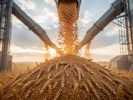 WisdomTree Grains ETF: Chinas 17-Milliarden-Pakt stützt Kurse - Foto: über boerse-global.de