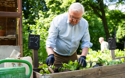  Steinmeier gärtnert in einem Hochbeet in Berlin-Neukölln. - Foto: Christophe Gateau/dpa