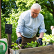  Steinmeier gärtnert in einem Hochbeet in Berlin-Neukölln. - Foto: Christophe Gateau/dpa