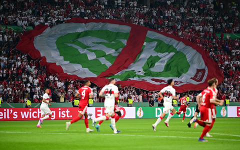 Die Fanlager protestieren gegen den DFB. - Foto: Sebastian Gollnow/dpa