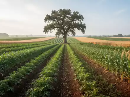 Bio-Landwirtschaft: Die unterschätzte Waffe gegen den Welthunger - Foto: über boerse-global.de