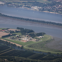 Die Justizvollzugsanstalt Hahnöfersand liegt auf einer Insel in der Elbe. (Archivbild) - Foto: Christian Charisius/dpa