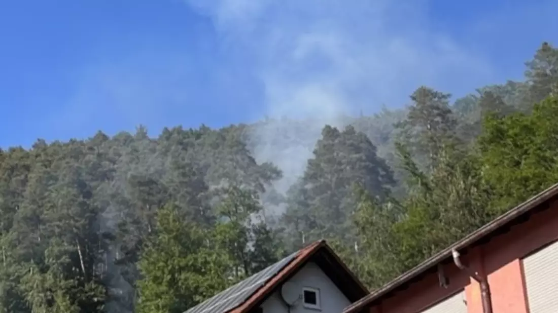 POL-PIDN: Vermutlich von Deodose verursachter Waldbrand - Bild: presseportal.de