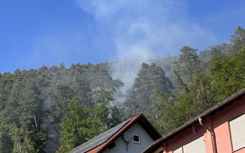 POL-PIDN: Vermutlich von Deodose verursachter Waldbrand - Foto: presseportal.de