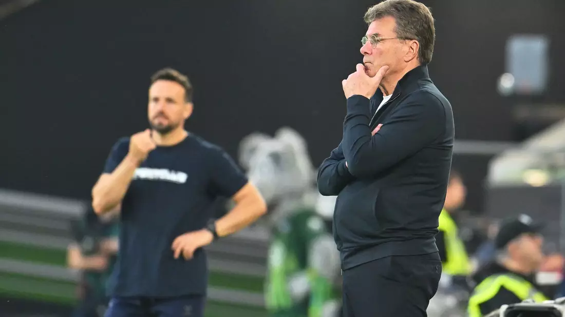 Wolfsburgs Trainer Dieter Hecking (r) und sein Paderborner Kollege Ralf Kettemann.  - Bild: Swen Pförtner/dpa