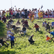 Das Käserennen in England hat Tradition.  - Foto: Jacob King/PA Wire/dpa