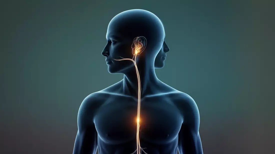 Depression 2026: Vagusnerv-Stimulation hilft 80% nach zwei Jahren - Bild: über boerse-global.de