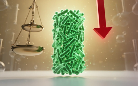 Mikrobiom Mai 2026: Bakterium stoppt Jo-Jo-Effekt zu 86% - Foto: über boerse-global.de