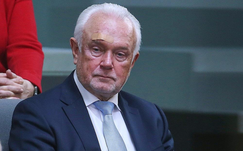 Wolfgang Kubicki (Archiv) - Foto: via dts Nachrichtenagentur