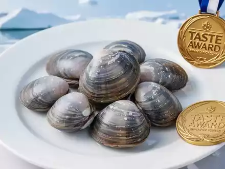 Clearwater Seafoods Aktie: Arctic Surf Clams mit Taste Award - Foto: über boerse-global.de