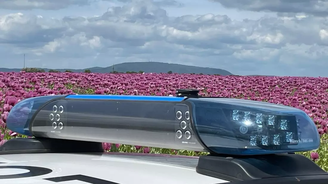 POL-PDNW: Verkehrsunfall mit verletztem Fahrradfahrer - Bild: presseportal.de
