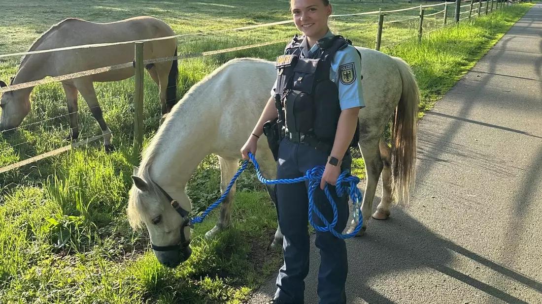 BPOL NRW: Pony steht auf Bahnübergang - Ein nicht ganz alltäglicher Einsatz für die Bundespolizei - Bild: presseportal.de