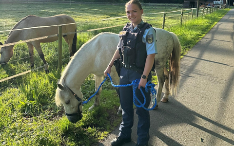 BPOL NRW: Pony steht auf Bahnübergang - Ein nicht ganz alltäglicher Einsatz für die Bundespolizei - Foto: presseportal.de