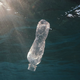 Eine Flasche treibt im Meer - wie hier vor Ägypten.  - Foto: Andrey Nekrasov/ZUMA Press Wire/dpa