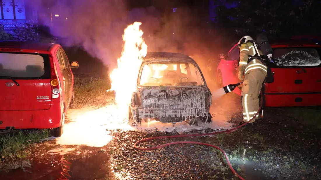 FW Dresden: Zahlreiche Brandeinsätze, darunter mehrere Vegetationsbrände im Stadtgebiet - Feuerwehr Dresden mahnt zur Vorsicht bei Trockenheit und Hitze - Bild: presseportal.de