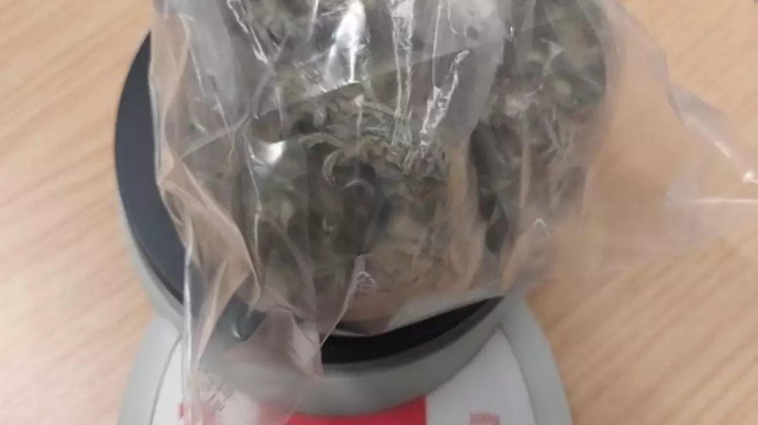 BPOL-FL: Bundespolizisten stellen Marihuana am Bahnhof sicher - Mann will flüchten - Bild: presseportal.de