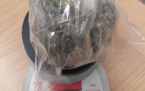BPOL-FL: Bundespolizisten stellen Marihuana am Bahnhof sicher - Mann will flüchten - Foto: presseportal.de