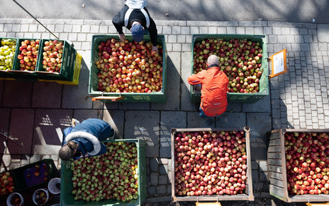 Die Inflationsrate dürfte laut Prognose der Wirtschaftsweisen in diesem Jahr durchschnittlich 3,0 Prozent betragen. - Foto: Sebastian Kahnert/dpa