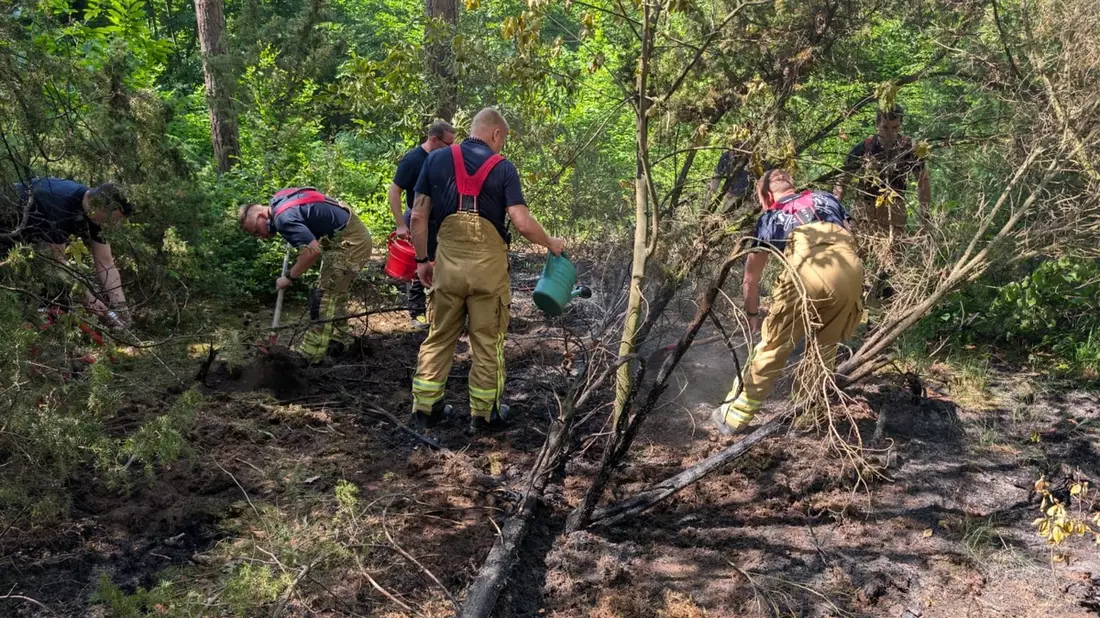 FW Dresden: Waldbrand in der Dresdner Heide - Bild: presseportal.de