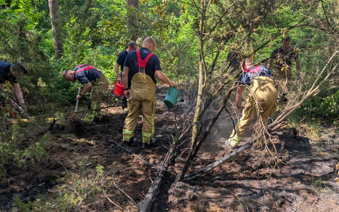 FW Dresden: Waldbrand in der Dresdner Heide - Foto: presseportal.de