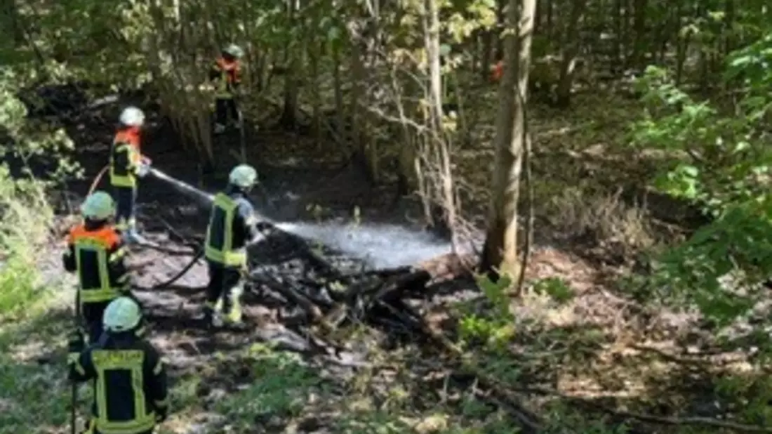 FW-ROW: Wald gerät in Brand in Kirchtimke - Bild: presseportal.de
