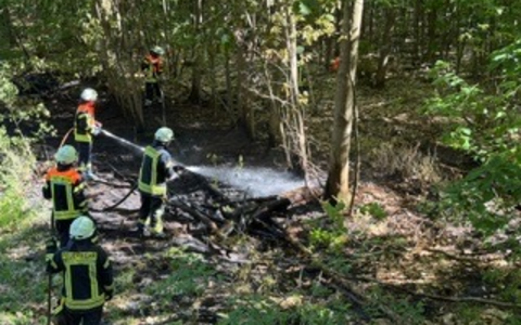 FW-ROW: Wald gerät in Brand in Kirchtimke - Foto: presseportal.de
