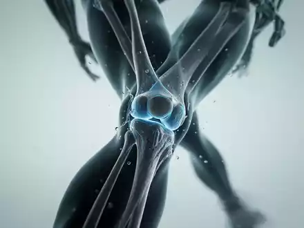 Alterungsforschung: Wie Mitochondrien-Flexibilität den Körper bremst - Foto: über boerse-global.de