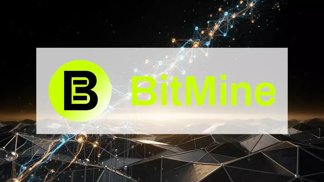 BitMine Aktie: 5-Prozent-Ziel bis Ende 2026 - Bild: über boerse-global.de
