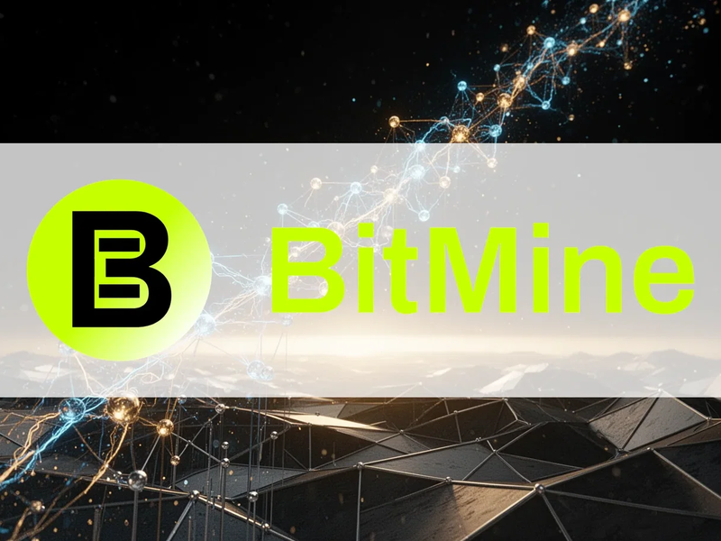BitMine Aktie: 5-Prozent-Ziel bis Ende 2026 - Foto: über boerse-global.de