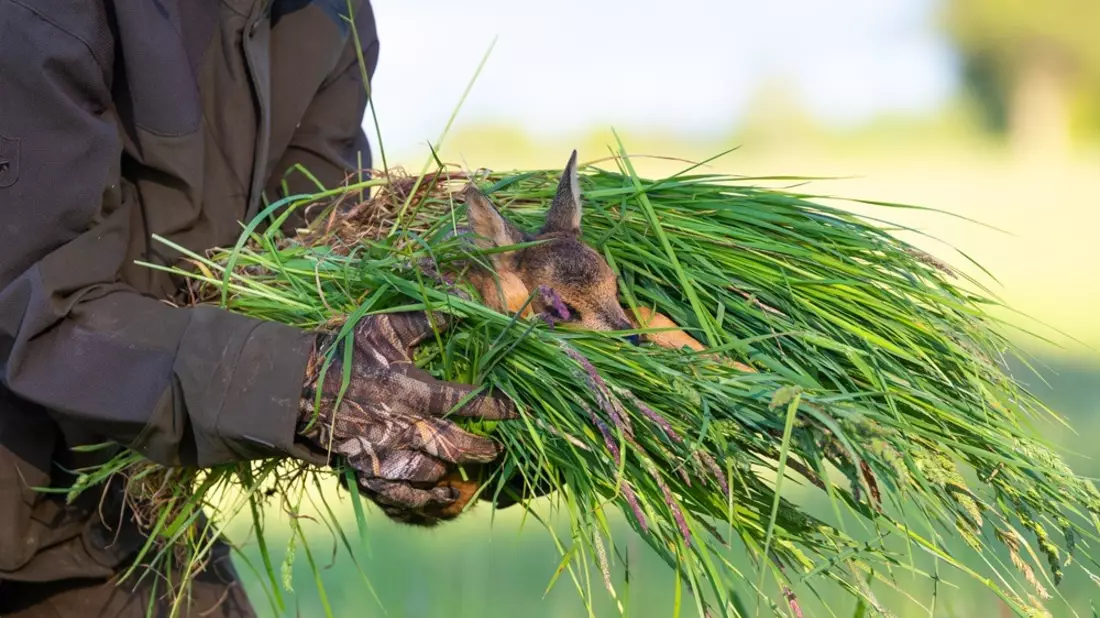 Rehkitz-Rettung: Wildtierschutz Deutschland veröffentlicht bundesweites Verzeichnis mit Drohnenteams - Bild: presseportal.de