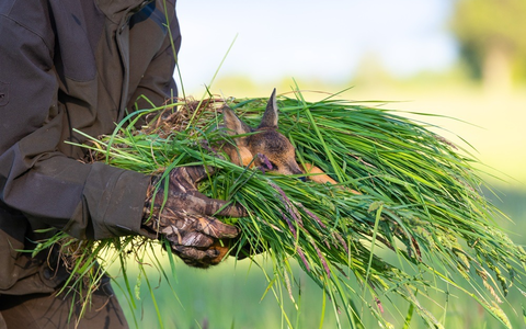 Rehkitz-Rettung: Wildtierschutz Deutschland veröffentlicht bundesweites Verzeichnis mit Drohnenteams - Foto: presseportal.de