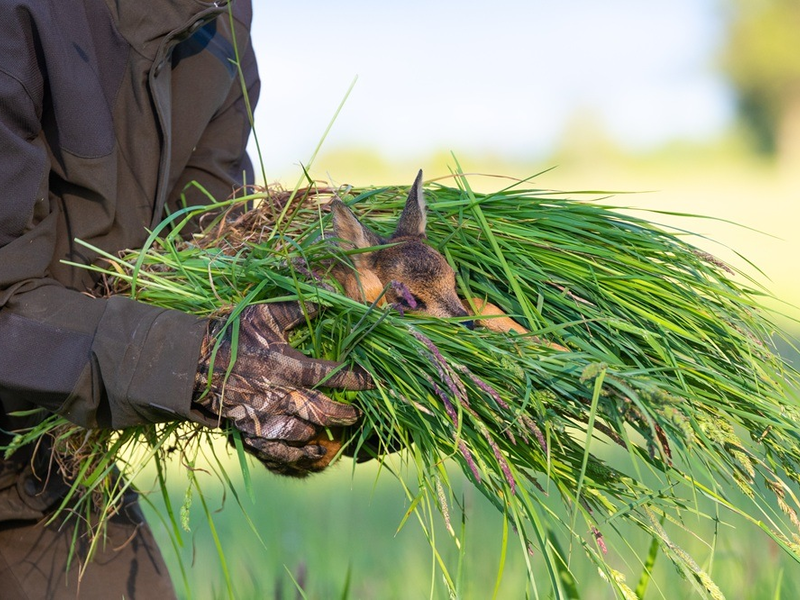 Rehkitz-Rettung: Wildtierschutz Deutschland veröffentlicht bundesweites Verzeichnis mit Drohnenteams - Foto: presseportal.de