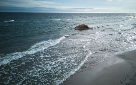 Die Insel ist ein beliebtes Urlaubsziel. Der verwesende Wal-Kadaver stört Anwohner und Badegäste. Deshalb soll er entfernt werden,  - Foto: Marcus Golejewski/dpa