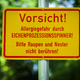 In der Berliner Hasenheide wird vor dem Eichenprozessionsspinner gewarnt. - Foto: Soeren Stache/dpa