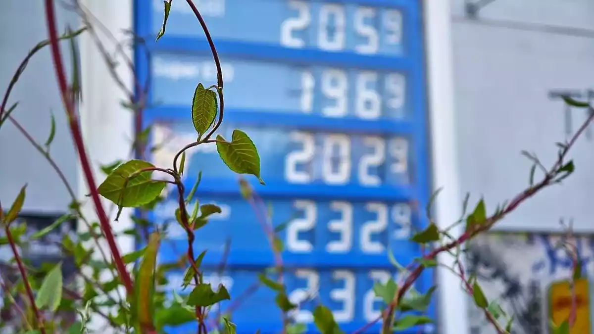Grüne lehnen neuen Tankrabatt ab - Stromsteuer soll sinken