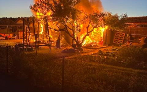 POL-OF: Verdacht der Brandstiftung: Erneut Feuer in Kleingarten am Alfred-Nobel-Bogen - Foto: presseportal.de
