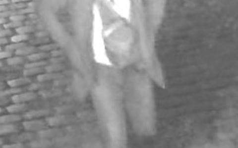 POL-FL: Flensburg: Öffentlichkeitsfahndung nach Sachbeschädigungen und versuchten Brandstiftungen an Parteibüros - Foto: presseportal.de