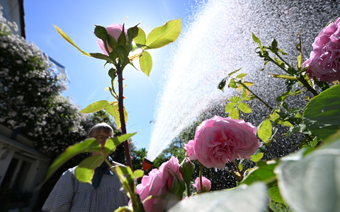 Der Frühling war deutlich trockener als im Schnitt. - Foto: Bernd Weißbrod/dpa