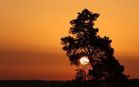 Sonne satt statt Regen: Das gab es vielerorts. - Foto: Matthias Bein/dpa