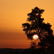 Sonne satt statt Regen: Das gab es vielerorts. - Foto: Matthias Bein/dpa
