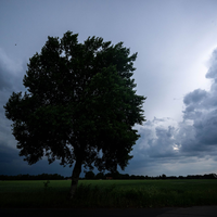 Wegen einer Gewitterfront gelten erste Unwetterwarnungen im Westen Deutschlands. - Foto: Sina Schuldt/dpa