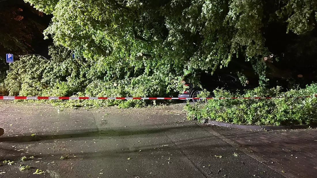 FW Paderborn: Unwetterlage sorgt bei der Feuerwehr Paderborn für ein erhöhtes Einsatzaufkommen - Bild: presseportal.de