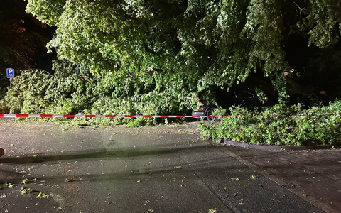 FW Paderborn: Unwetterlage sorgt bei der Feuerwehr Paderborn für ein erhöhtes Einsatzaufkommen - Foto: presseportal.de