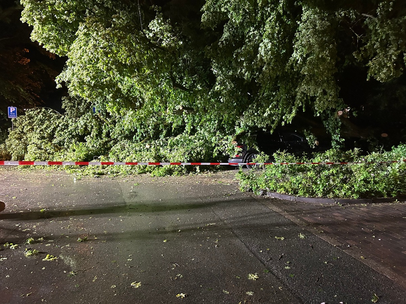 FW Paderborn: Unwetterlage sorgt bei der Feuerwehr Paderborn für ein erhöhtes Einsatzaufkommen - Foto: presseportal.de
